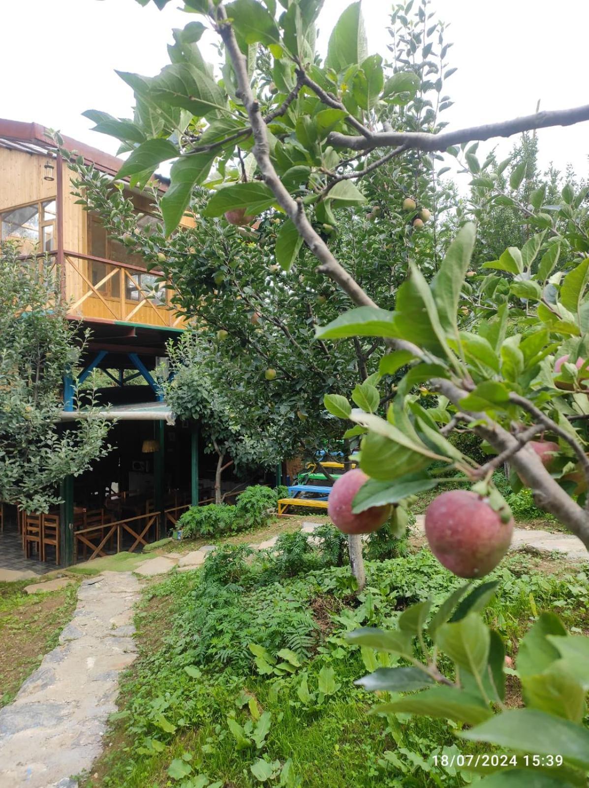 Daak Bangla Retreat Hotel Kufri Exterior photo
