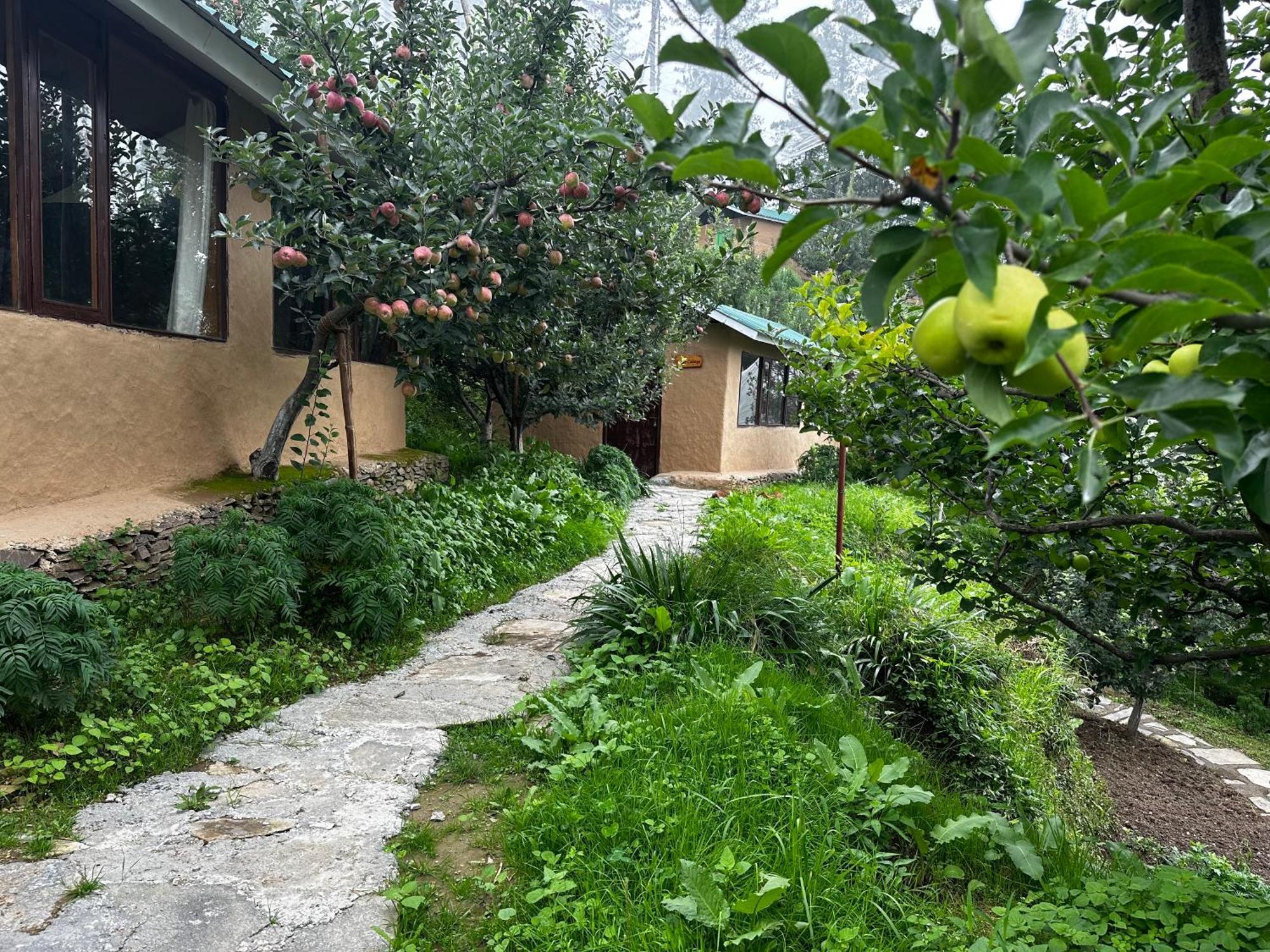 Daak Bangla Retreat Hotel Kufri Exterior photo